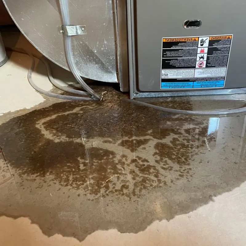 Pipe Burst and Leak Restoration in New Castle, PA