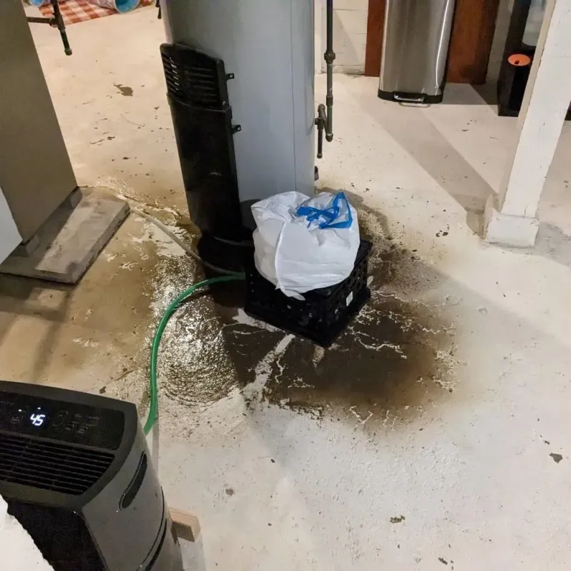 Sewage Backup Cleanup Service in New Castle, PA